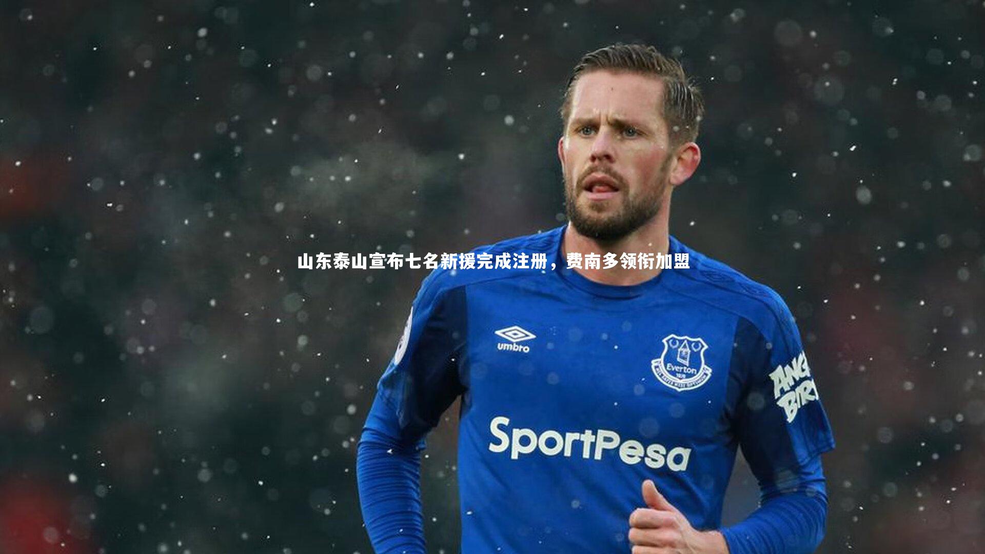 山东泰山宣布七名新援完成注册,费南多领衔加盟